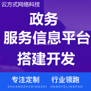 政务服务信息平台搭建开发实体企业