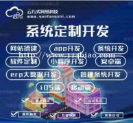 系统app搭建开发，系统定向开发放心企业