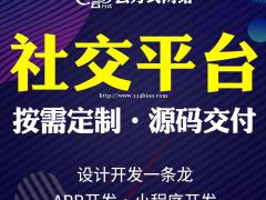 社交软件开发，社交软件搭建开发专业团队